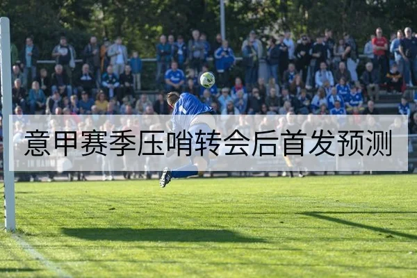 意甲赛季压哨转会后首发预测